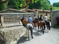 Actividades