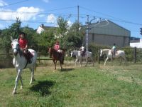 Clases de equitaci�n