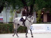 Doma y Competici�n