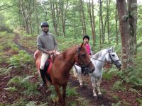 Paseos a Caballo