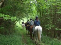 Paseos a Caballo