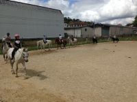 Clases de equitaci�n