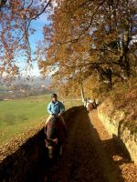 Paseos a Caballo