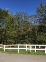 Paddock individual o colectivo